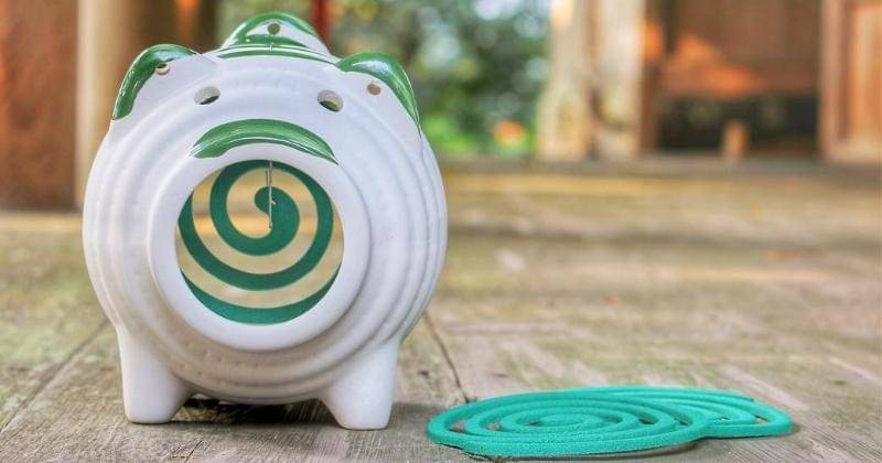 Instagram.com/japan_gram